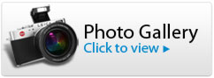 Criollo Designer Cakes Photo Gallery