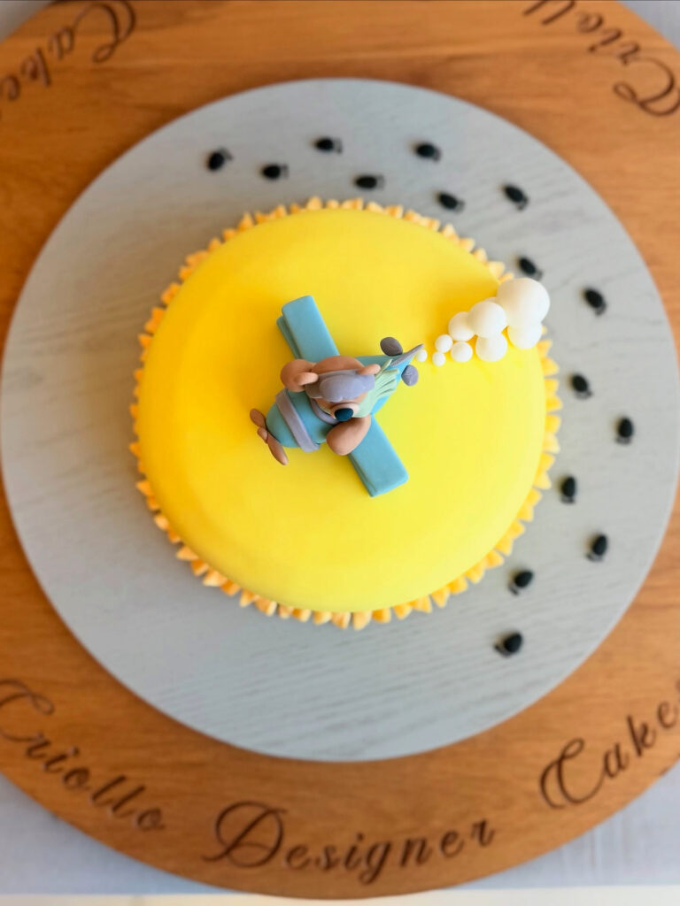 Pilot Aeroplane Birthday Cake Yellow Blue