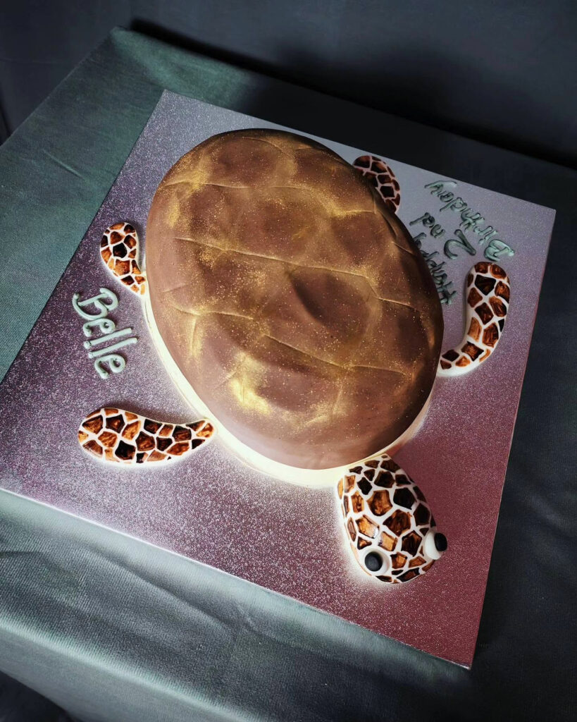 Sea Turtle Shaped Birthday Cake Green Brown